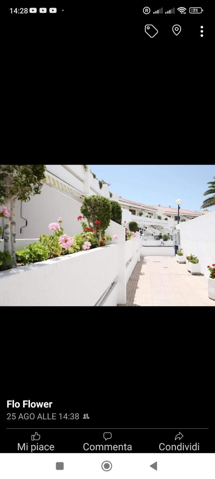 Garden City Costa Adeje  Buitenkant foto